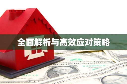卑南全面解析与高效应对策略