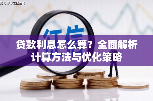 卑南贷款利息怎么算？全面解析计算方法与优化策略