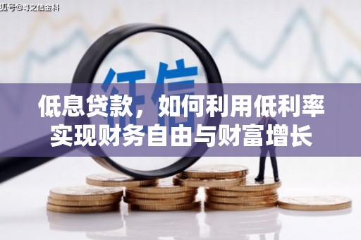 卑南低息贷款，如何利用低利率实现财务自由与财富增长