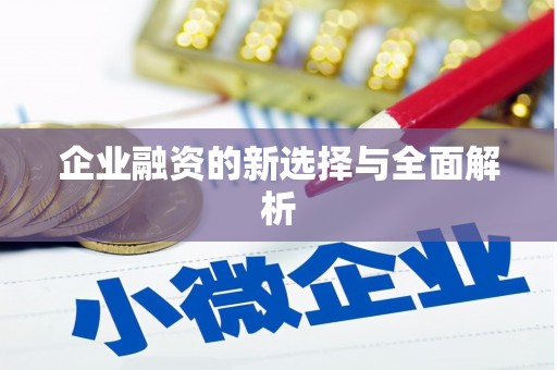 卑南企业融资的新选择与全面解析