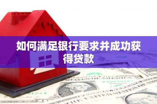 卑南如何满足银行要求并成功获得贷款