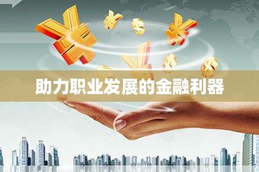 卑南助力职业发展的金融利器