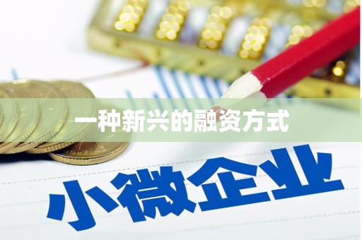 卑南一种新兴的融资方式