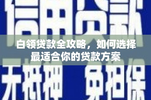 卑南白领贷款全攻略，如何选择最适合你的贷款方案