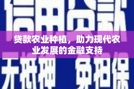 卑南贷款农业种植，助力现代农业发展的金融支持