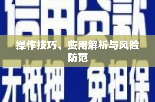 卑南操作技巧、费用解析与风险防范