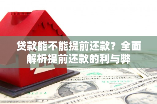 卑南贷款能不能提前还款？全面解析提前还款的利与弊