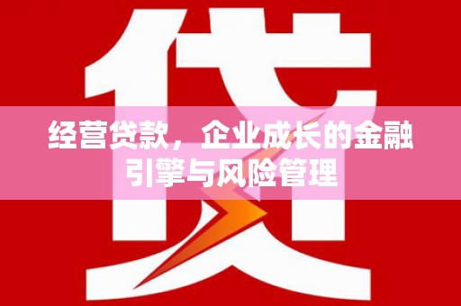 卑南经营贷款，企业成长的金融引擎与风险管理