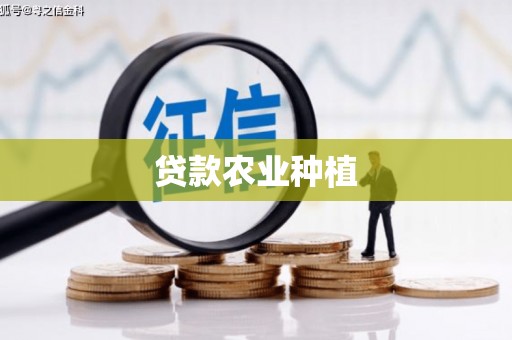卑南贷款农业种植