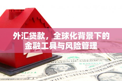卑南外汇贷款，全球化背景下的金融工具与风险管理