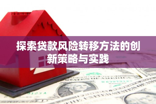 卑南探索贷款风险转移方法的创新策略与实践