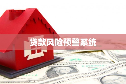卑南贷款风险预警系统
