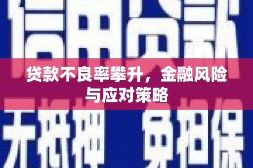 卑南贷款不良率攀升，金融风险与应对策略