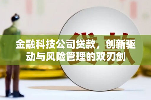 卑南金融科技公司贷款，创新驱动与风险管理的双刃剑