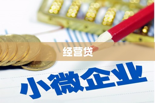卑南经营贷
