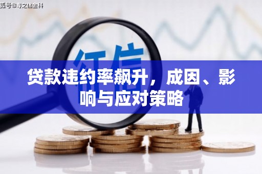 卑南贷款违约率飙升，成因、影响与应对策略
