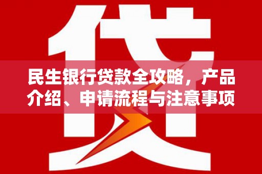 卑南民生银行贷款全攻略，产品介绍、申请流程与注意事项
