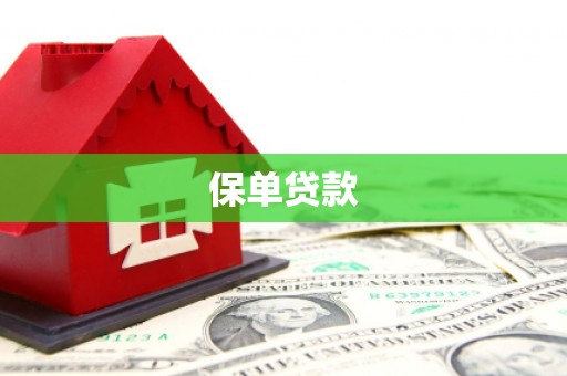 卑南保单贷款 卑南保单贷款